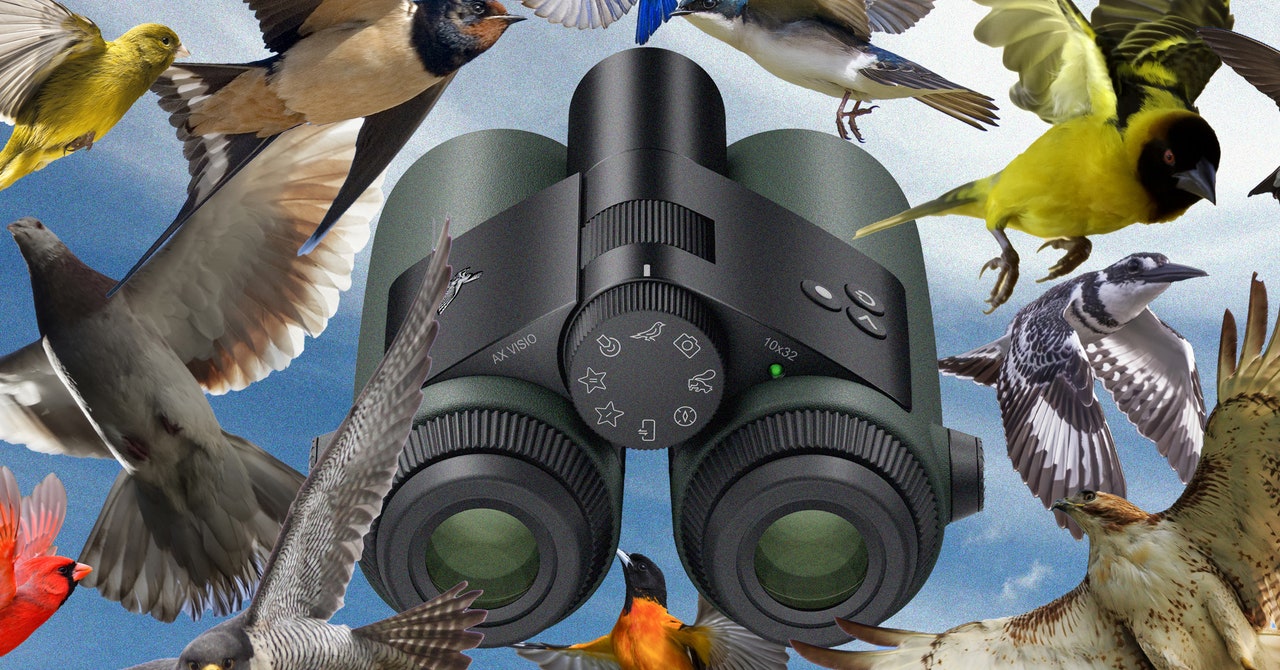 I Went Birding With the Worldâs First AI-Powered Binoculars